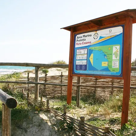 Casa de Férias Casa Gino A 70 Mt Dalla Di